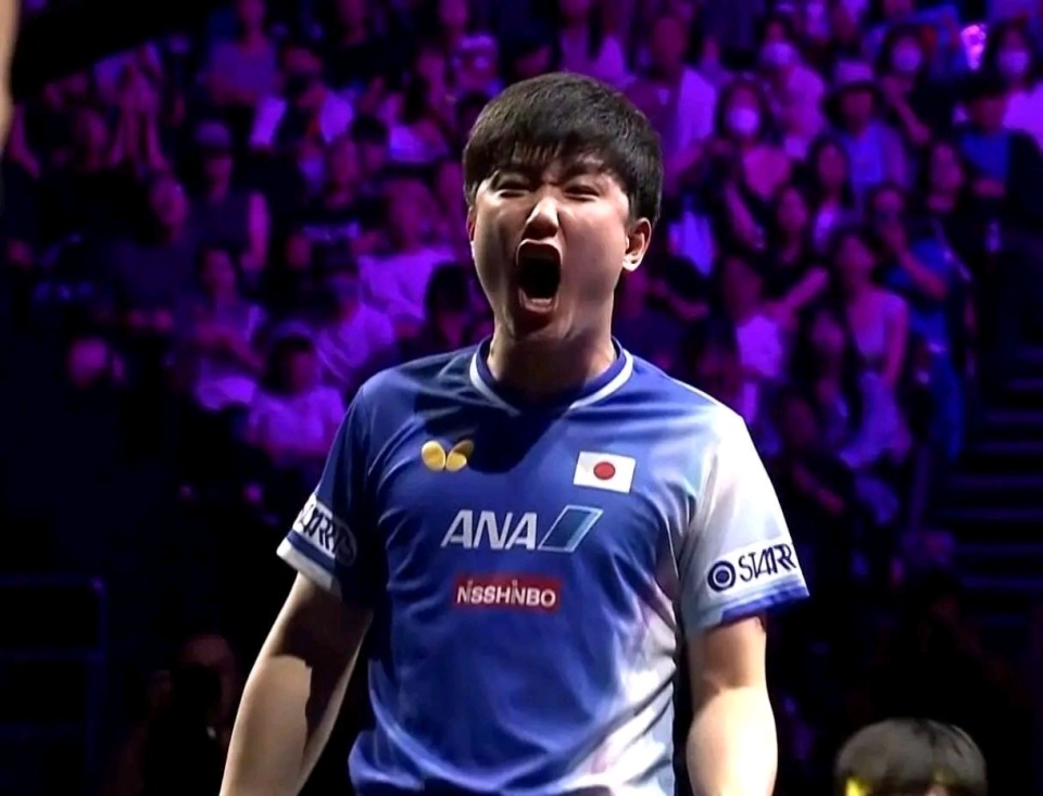 从近年来一 从近年来一