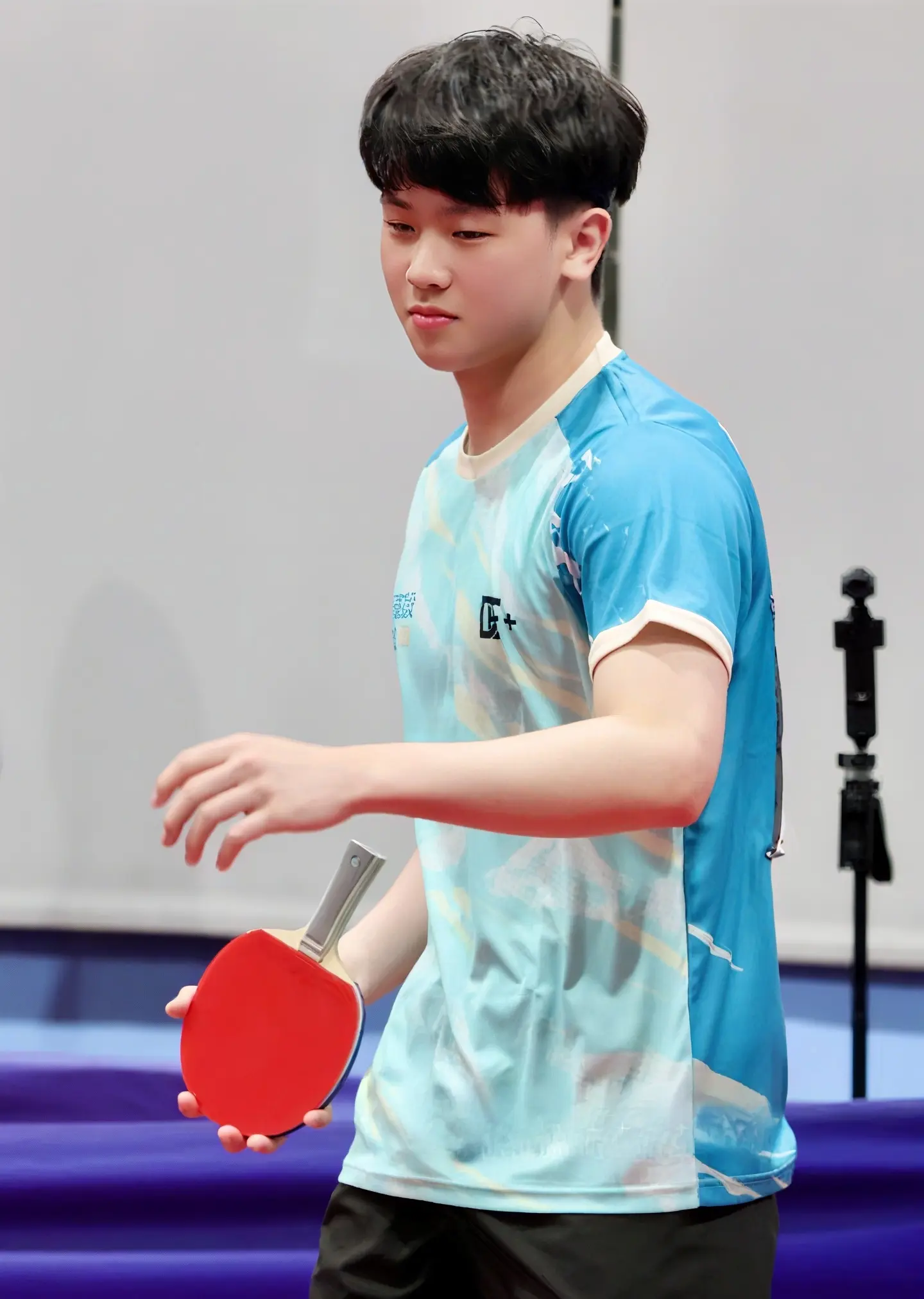 alt, 陈垣宇组成