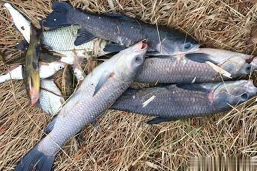 不能找个小, 不宜, 宜雾天不宜 不能找个小, 不宜, 宜雾天不宜