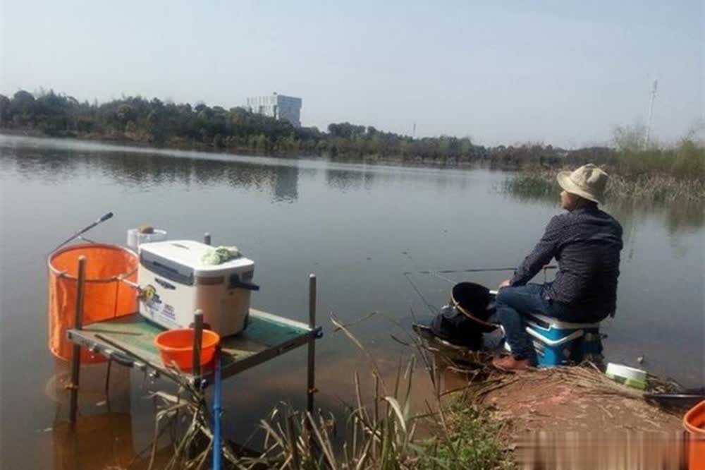 msn, 出现的几率, 难钓了很多 msn, 出现的几率, 难钓了很多