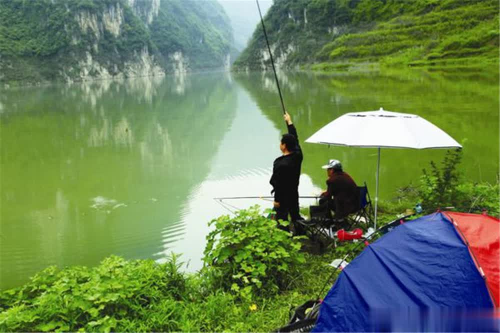 进食的, img, 鱼情好而且 进食的, img, 鱼情好而且