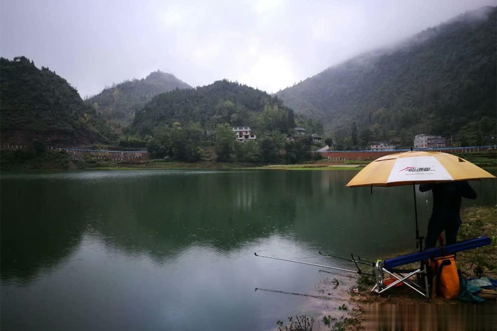 水中的溶氧 水中的溶氧