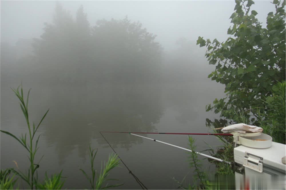 个时机鱼是, 气风最小, 宜阴天不宜 个时机鱼是, 气风最小, 宜阴天不宜